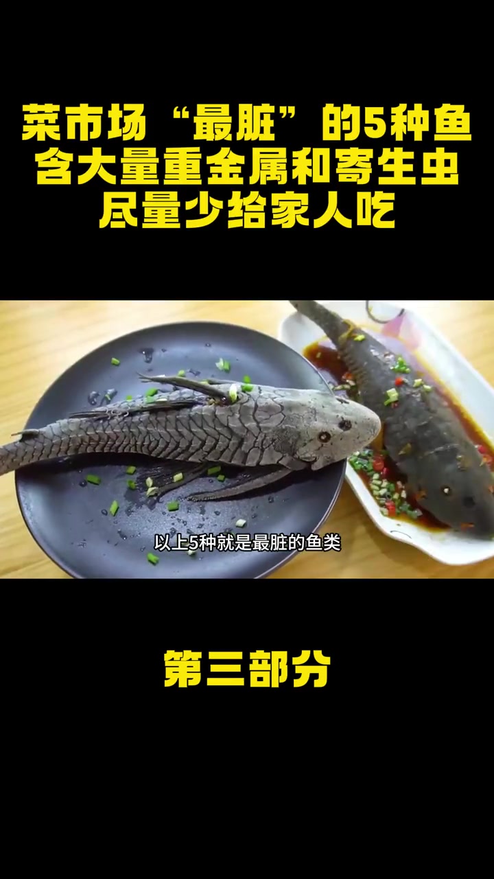 菜市场“最脏”的5种鱼,含大量重金属和寄生虫,尽量少给家人吃 菜市场 鱼类 淡水鱼