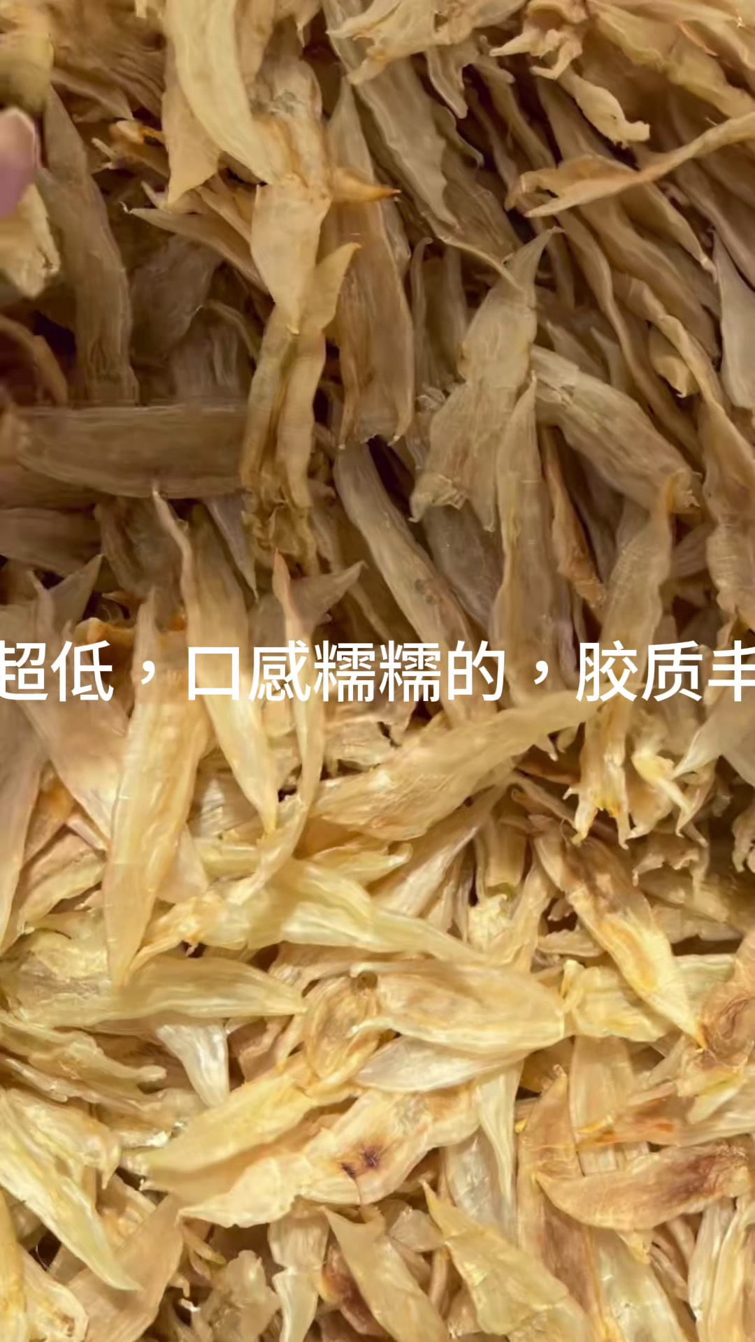 双背鱼胶真心推荐给各位女神们