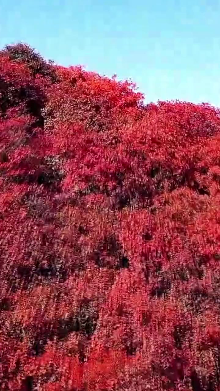 青州乡村有多美,攻略来啦!青州 相约青州乐享生活 好客山东