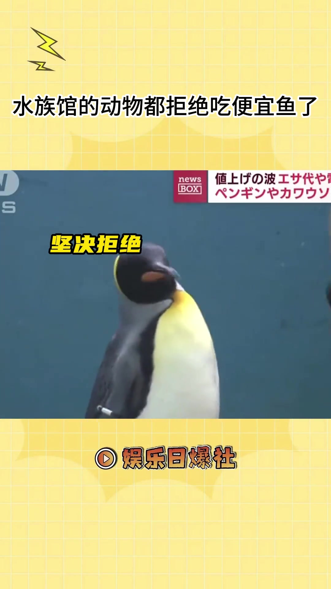 由于鱼价上涨,水族馆只能改喂便宜鱼,动物们的嫌弃过于明显了!