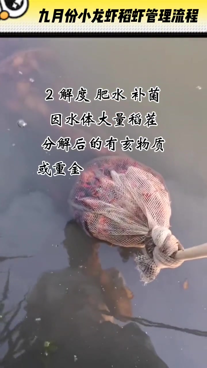 热门 九月份稻虾养殖流程 四大家鱼养殖 水产养殖技术 鱼虾蟹