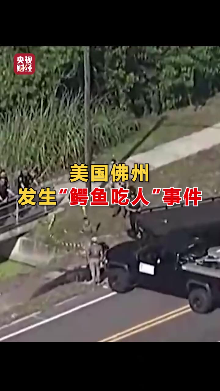美国佛州发生鳄鱼吃人事件 遗体身份已确认 美国鳄鱼吃人被安乐死