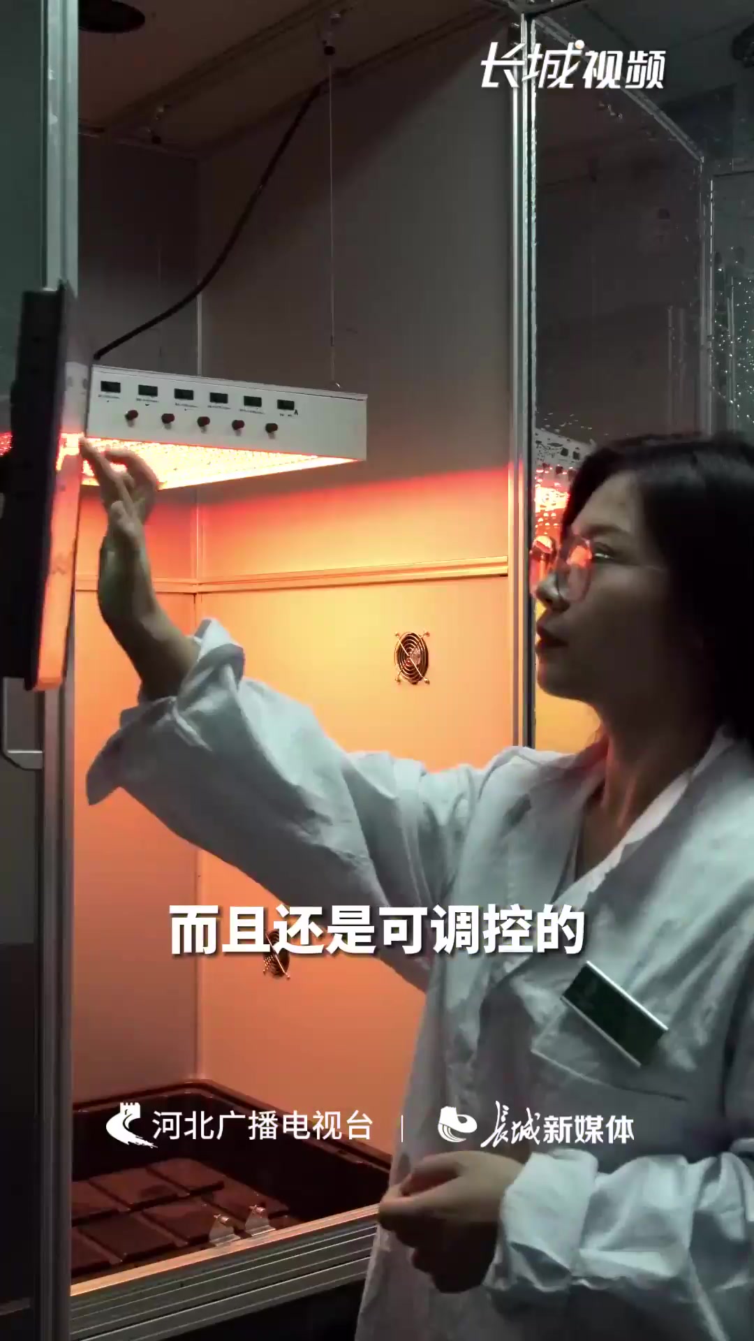 植物工厂有“奥秘”