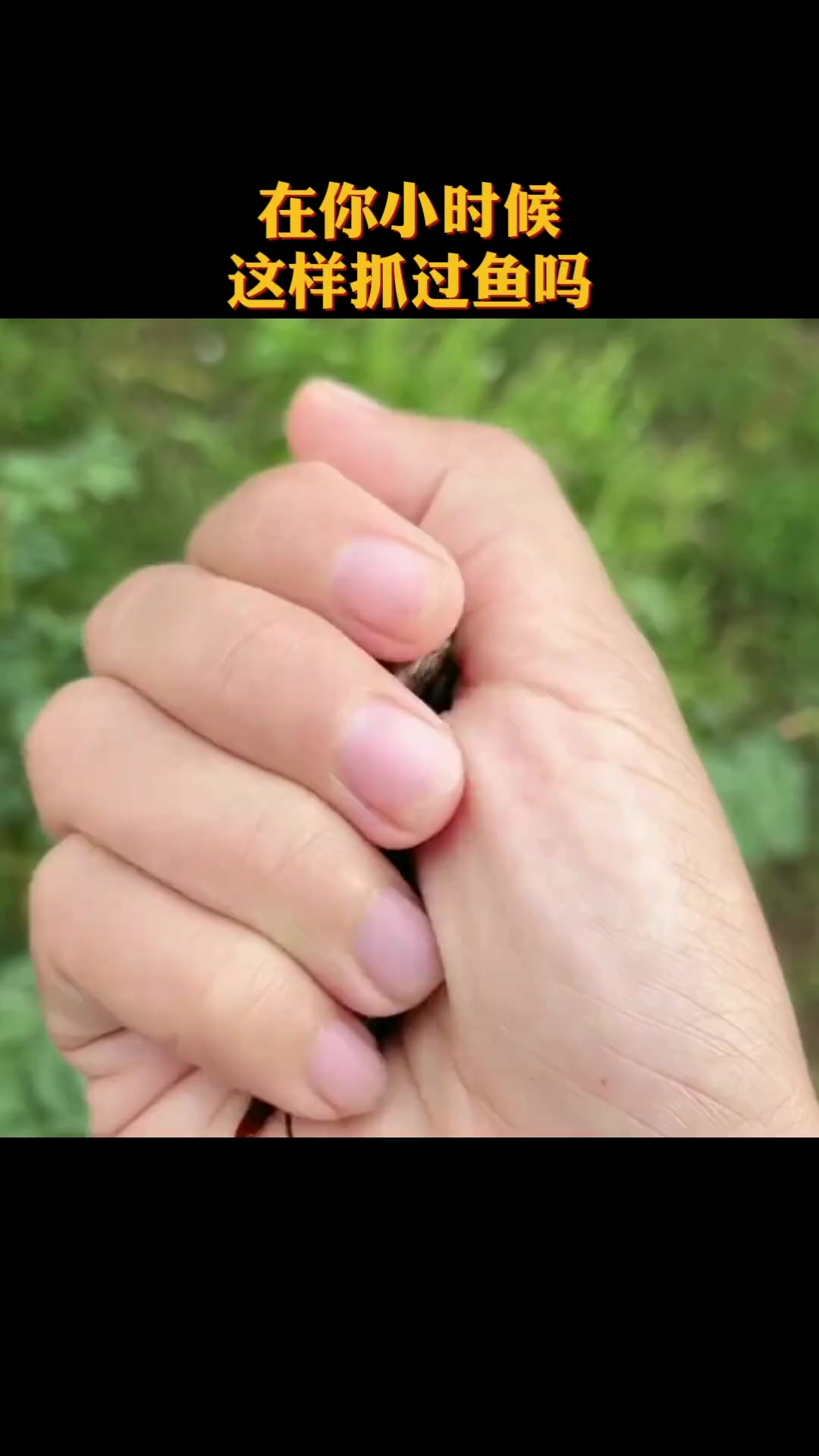 你小时候,用瓶子捕过鱼吗 怀旧 7080后的回忆 儿时记忆 童年 回忆