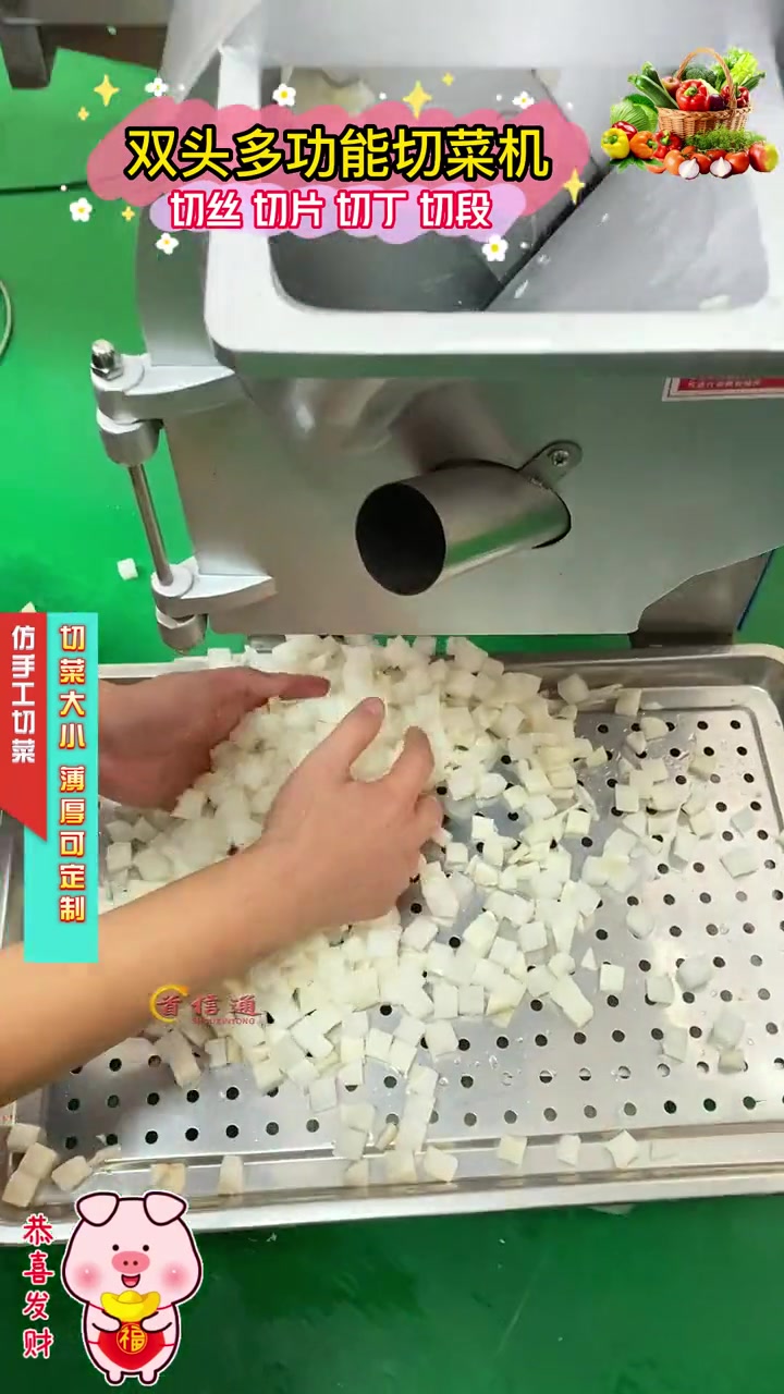 多功能切菜机,可以切段,切丝,切片,切丁样样行!你换在为切菜发愁吗?小型切菜机 切菜机 切