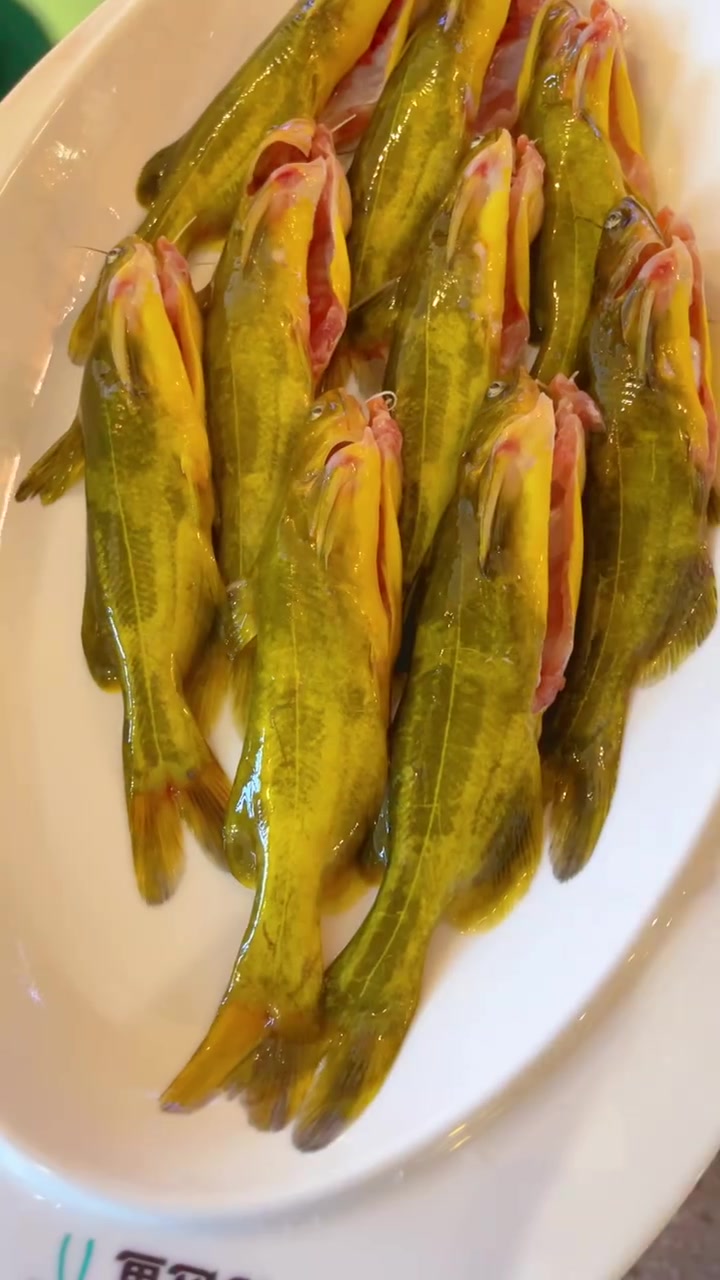 不管肚子饿不饿 鲜鱼锅总能吃的多 鲜活的小鱼一口一条 简直泰过瘾辣  小小河边鱼黄辣丁鲜鱼