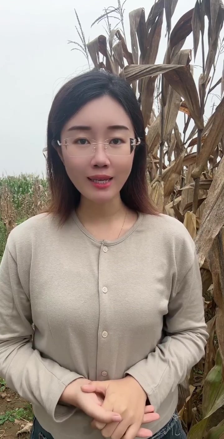 玉米得了茎基腐,秸秆还田后会传染小麦吗?
