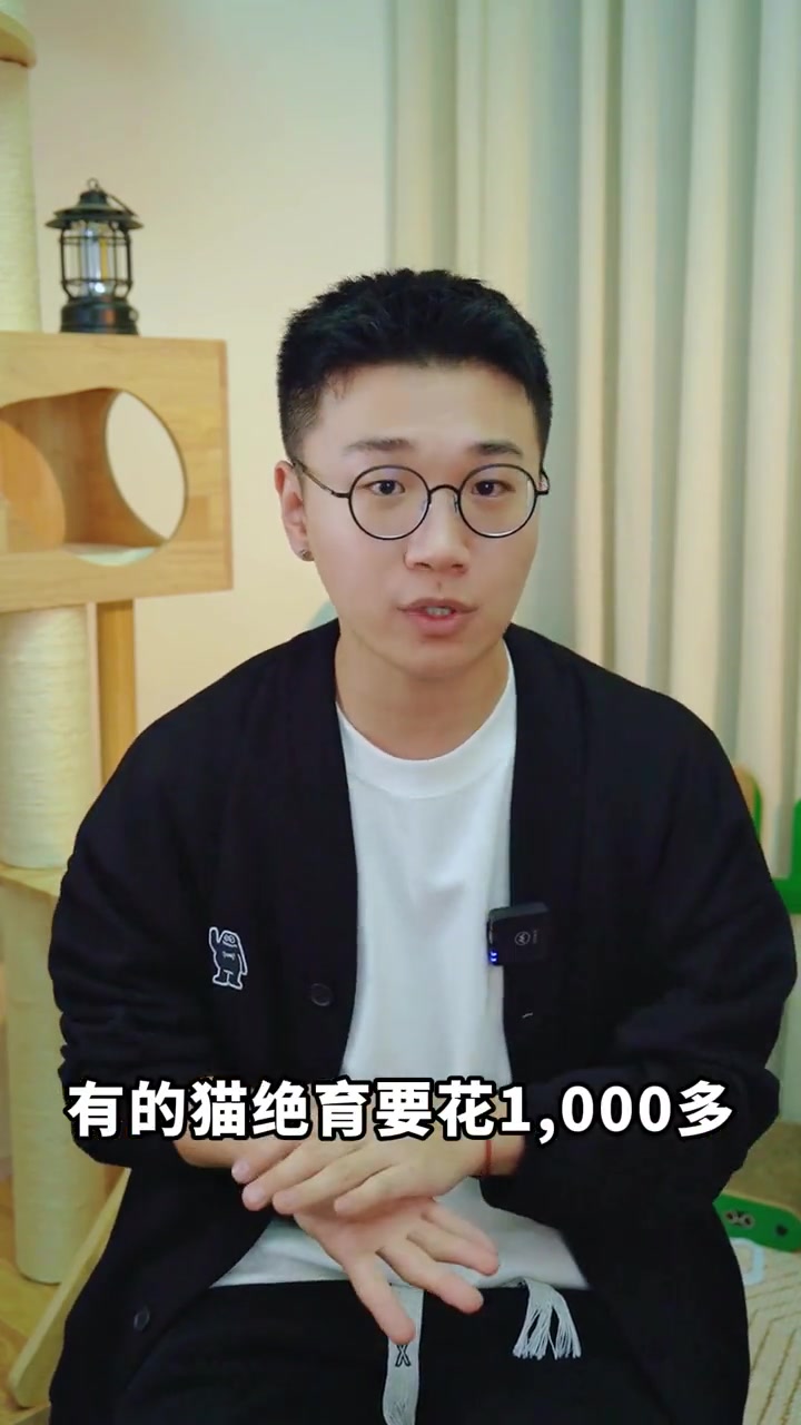 假期最适合给猫做绝育了!绝育手术多少钱?都需要准备什么?猫绝育 公猫绝育 母猫绝育 新手养