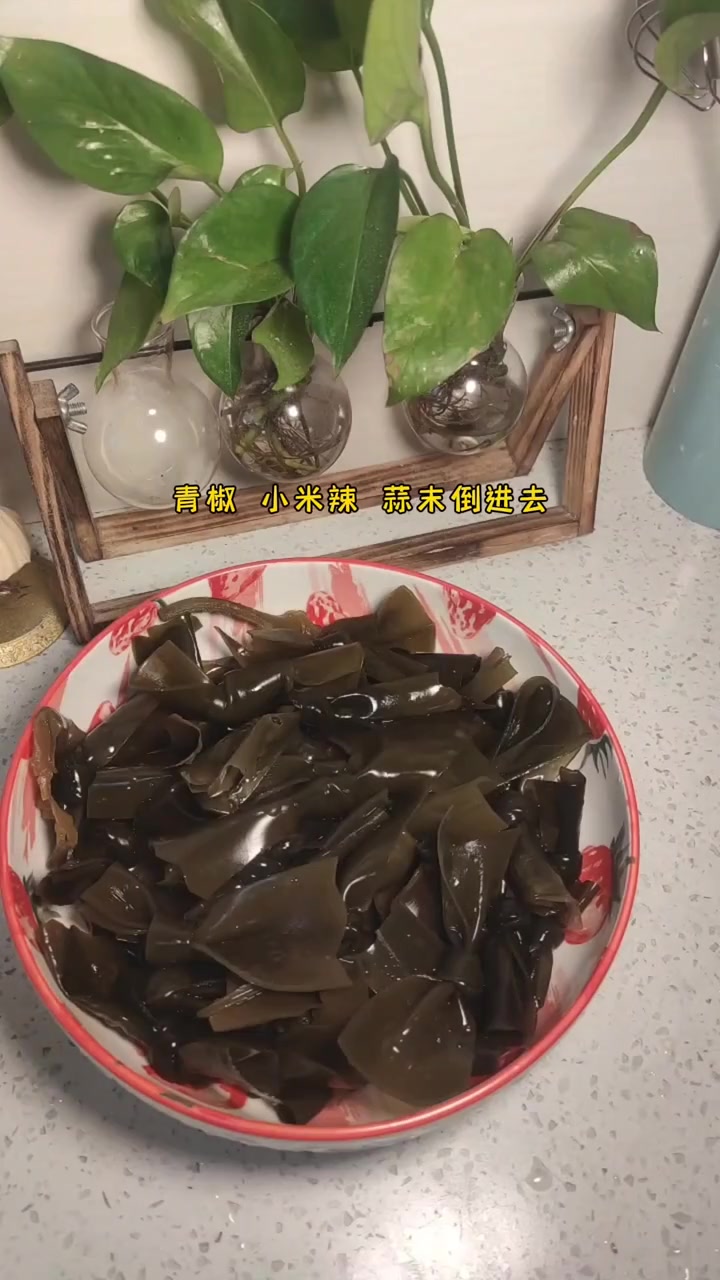 凉拌海带,简单开胃 好吃到停不下来 海带结 深海有机小海带 海带凉拌做法 凉拌菜 开胃