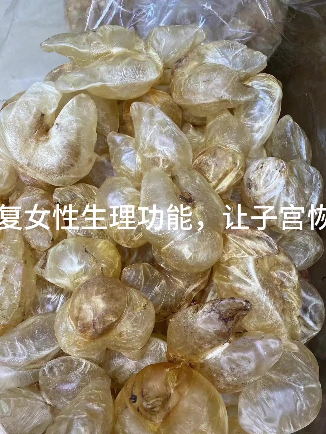 鸡泡胶促孕之说,是因为鸡泡胶具有增厚子宫内膜的作用;