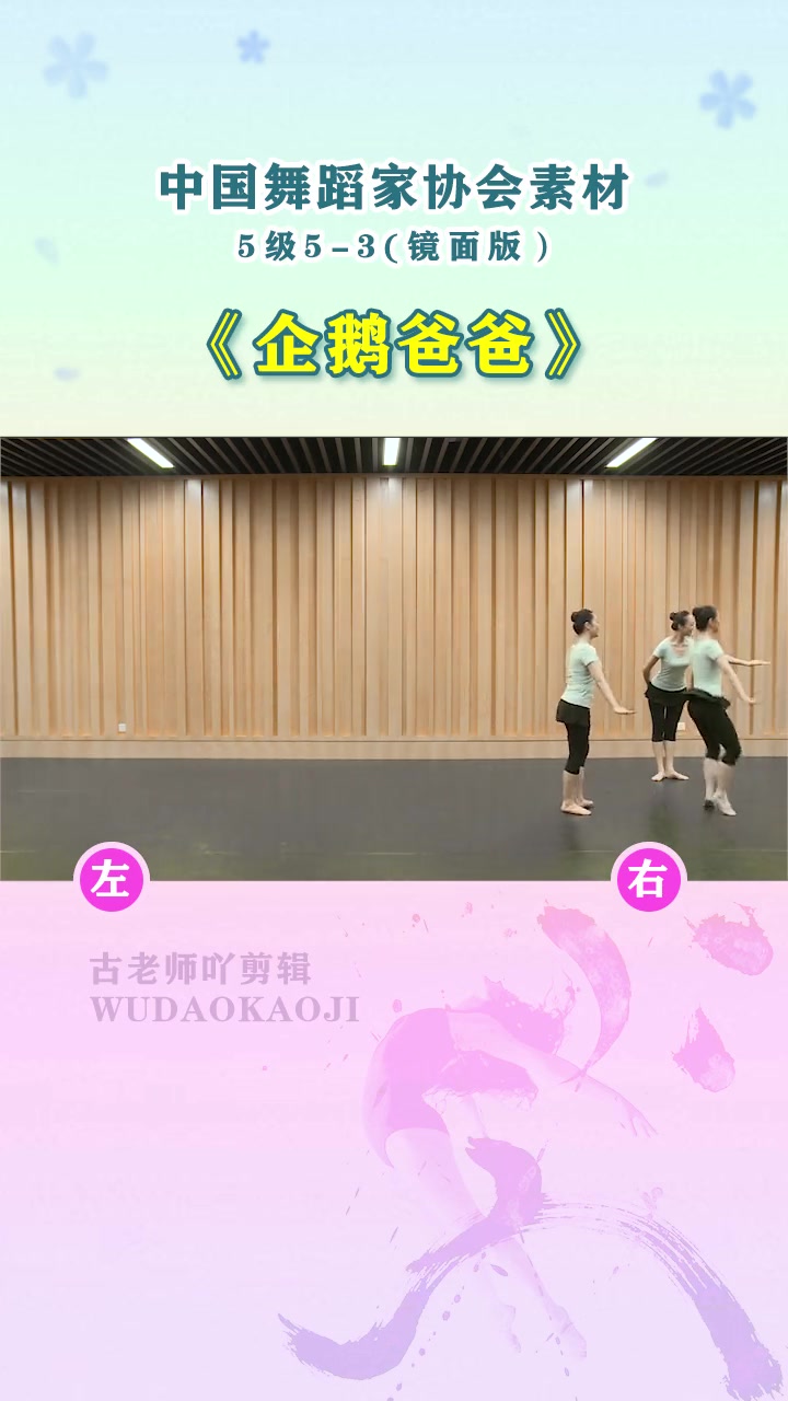 第41集|第5级︱舞协四级5-3《企鹅爸爸》镜面教材 舞蹈考级 跳跃练习