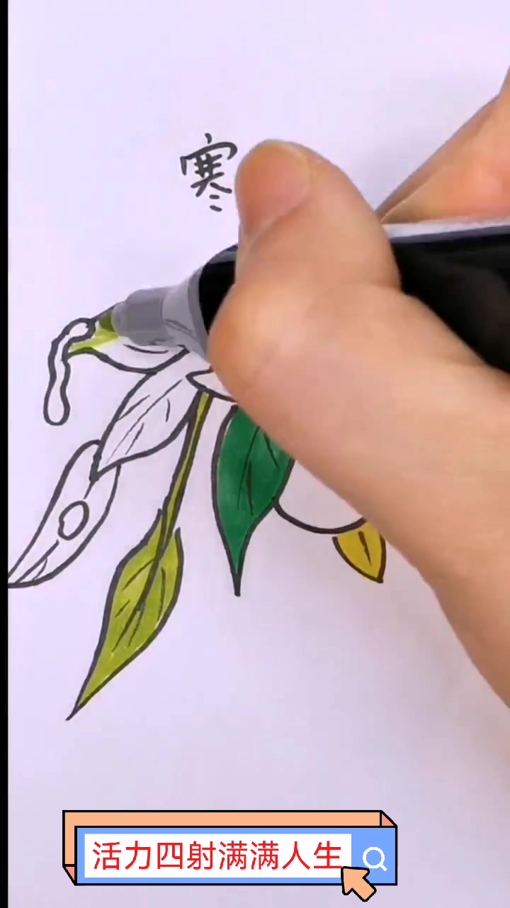 二十四节气之寒露简笔画