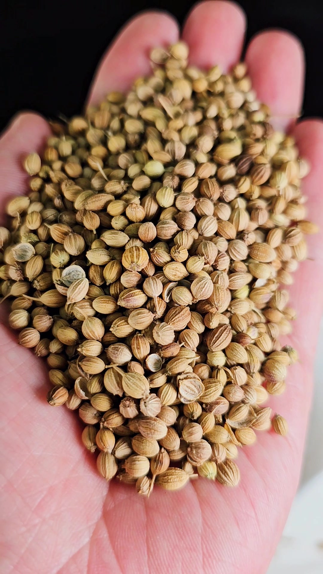 卤肉常用33种香料的名称及作用