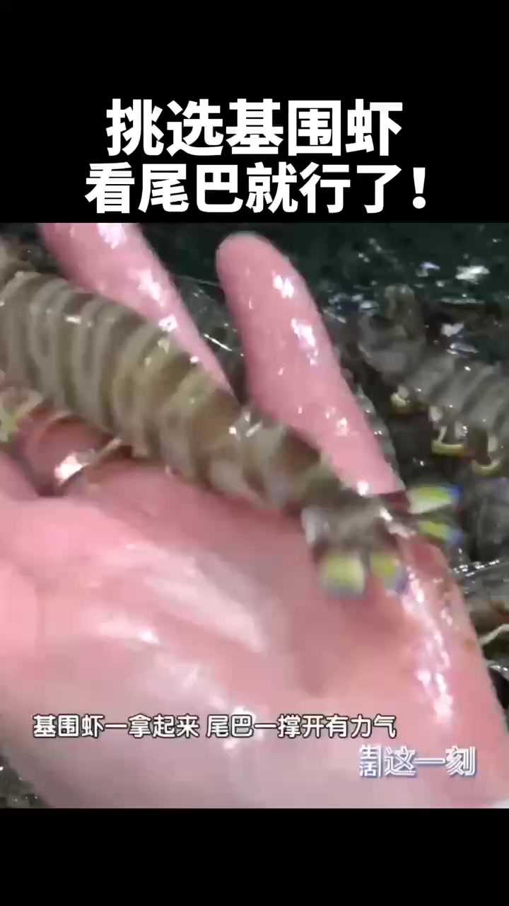挑选基围虾 看尾巴就行了!