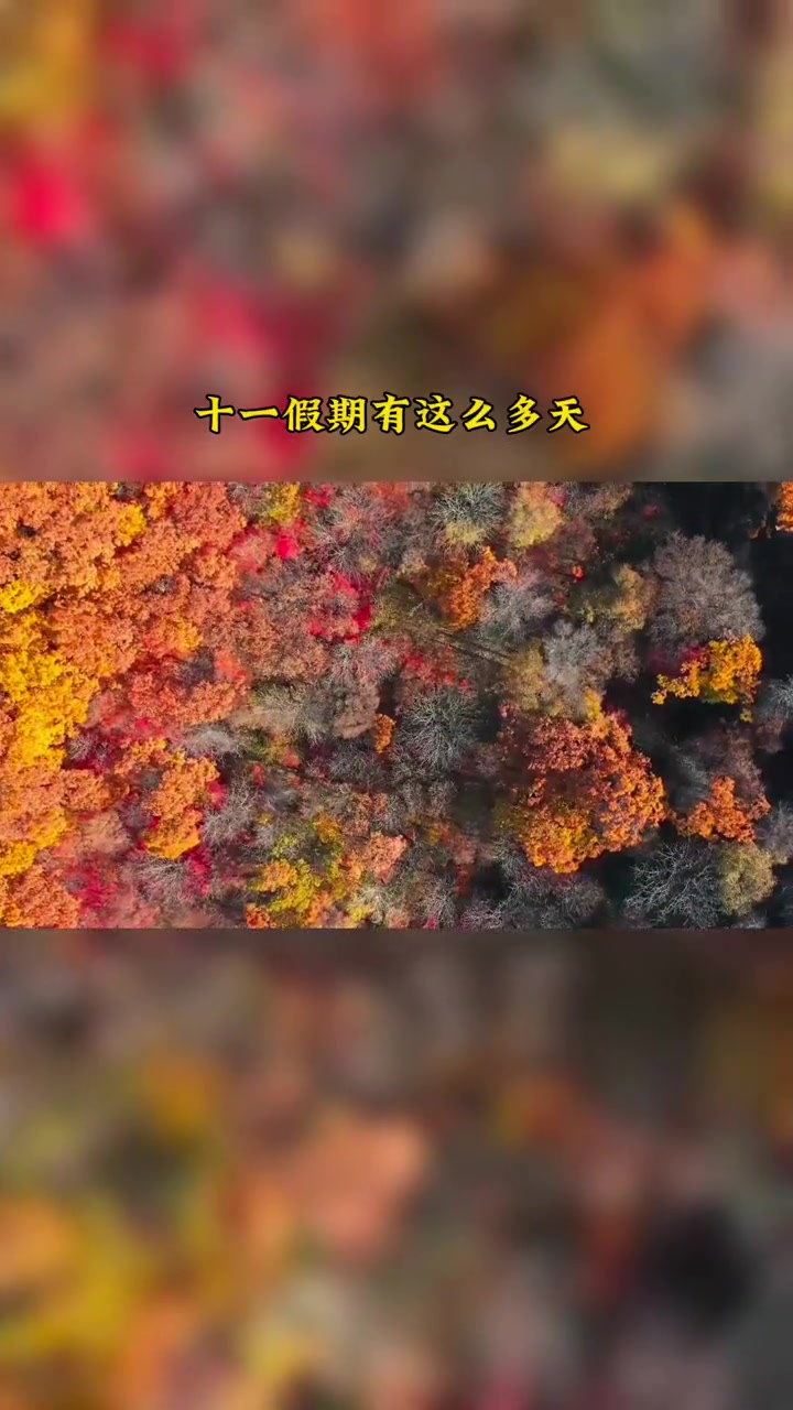 看枫叶就来鸡冠山吧 好吃到停不下来 国庆吃喝玩乐节 赏红叶 国庆超会玩指南 一起来拍秋天