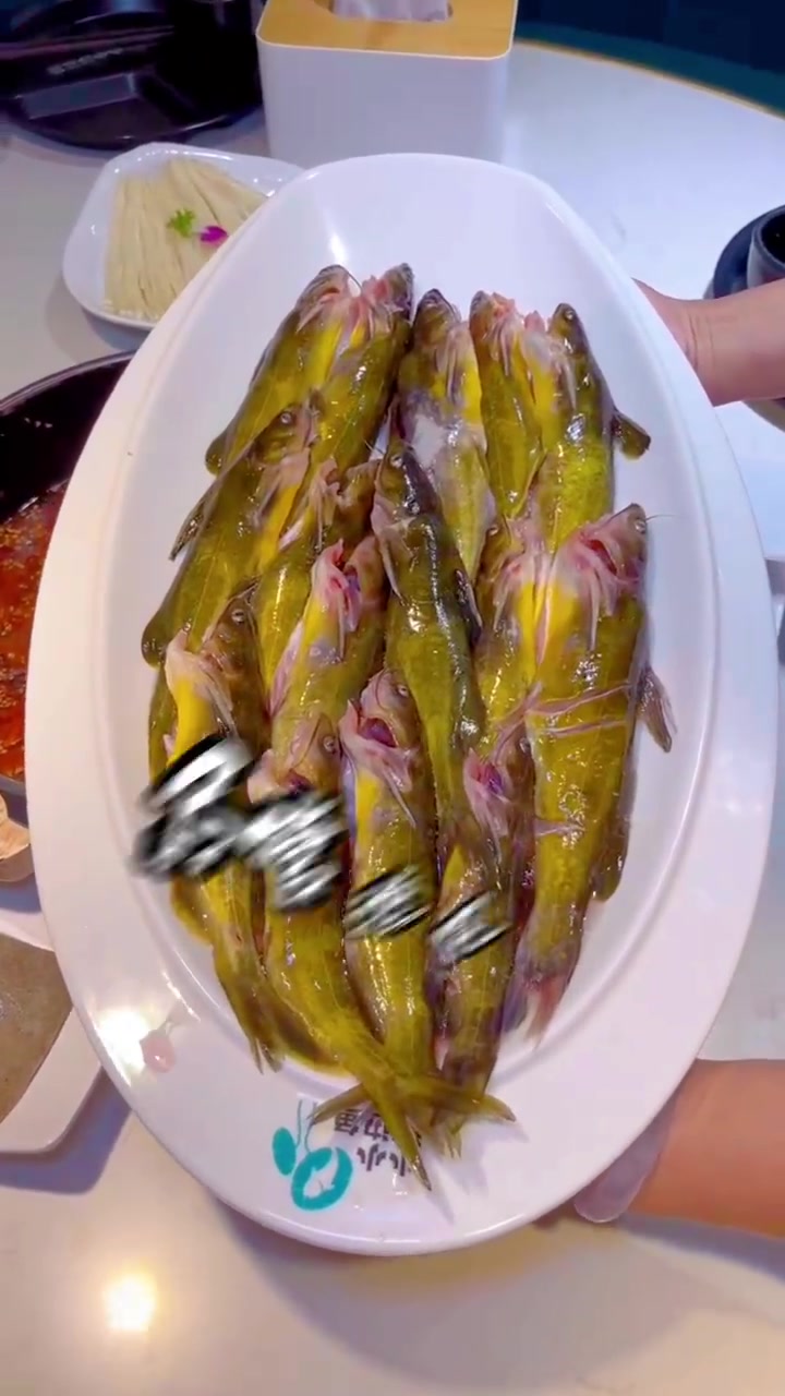 我姓黄,黄辣丁的黄 我姓黄,不光刺少,味道还鲜美 我姓黄,做梦也没想到 我的灵魂伴侣竟然是