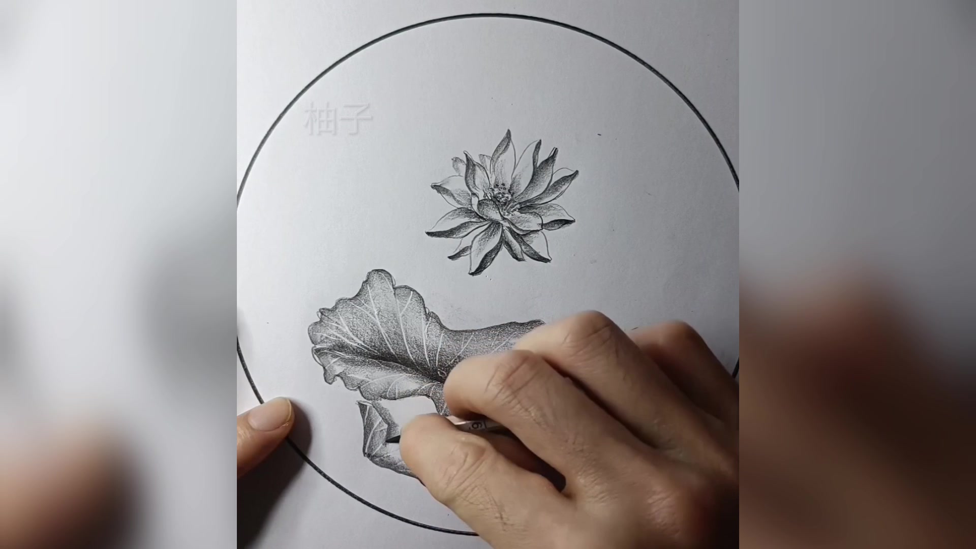 新手小白荷花绘画教程