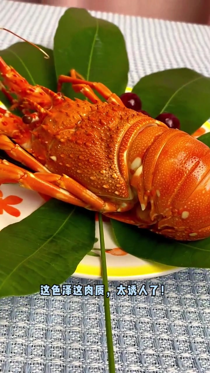 振丰鲜活小青龙虾 口感真的太好吃了 新鲜 好物推荐