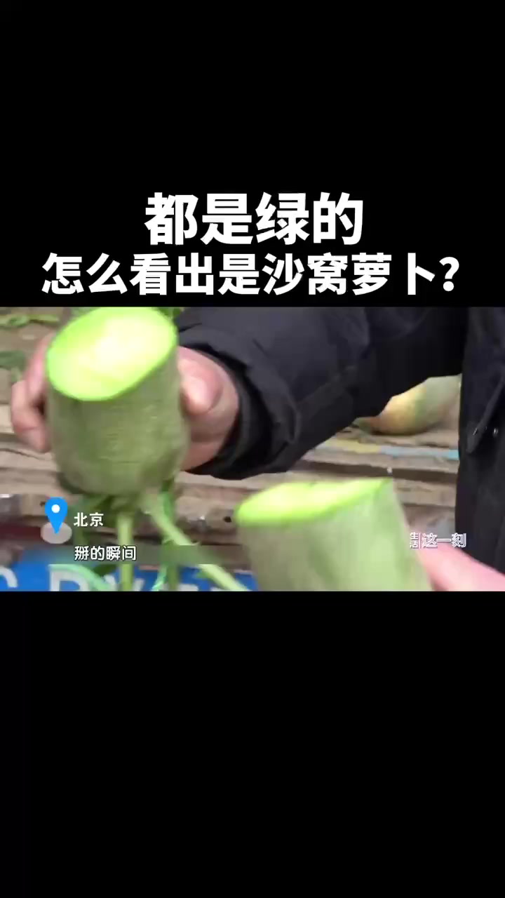 都是绿的,怎么看出是“赛鸭梨”的沙窝萝卜?蔬菜真相大揭秘!