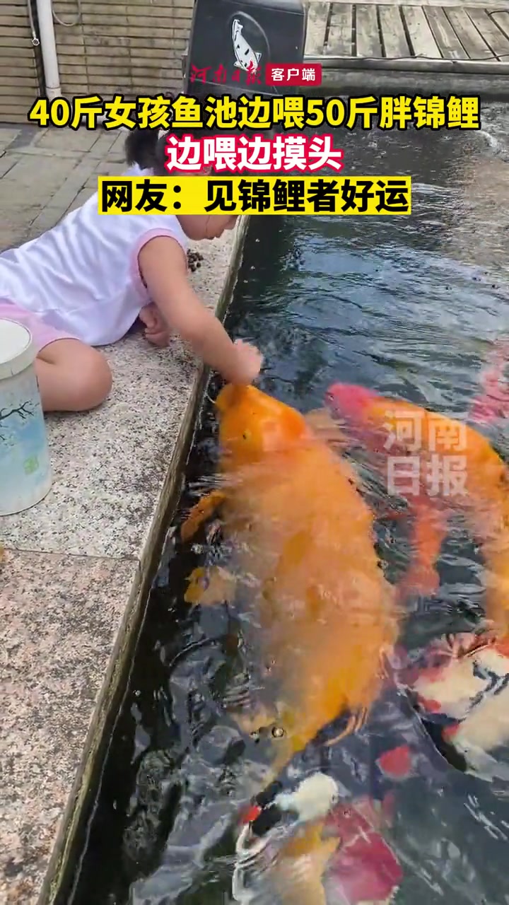 见锦鲤者好运!这是年画里娃娃抱的大鱼吗 网友:这鱼怎么狗里狗气的