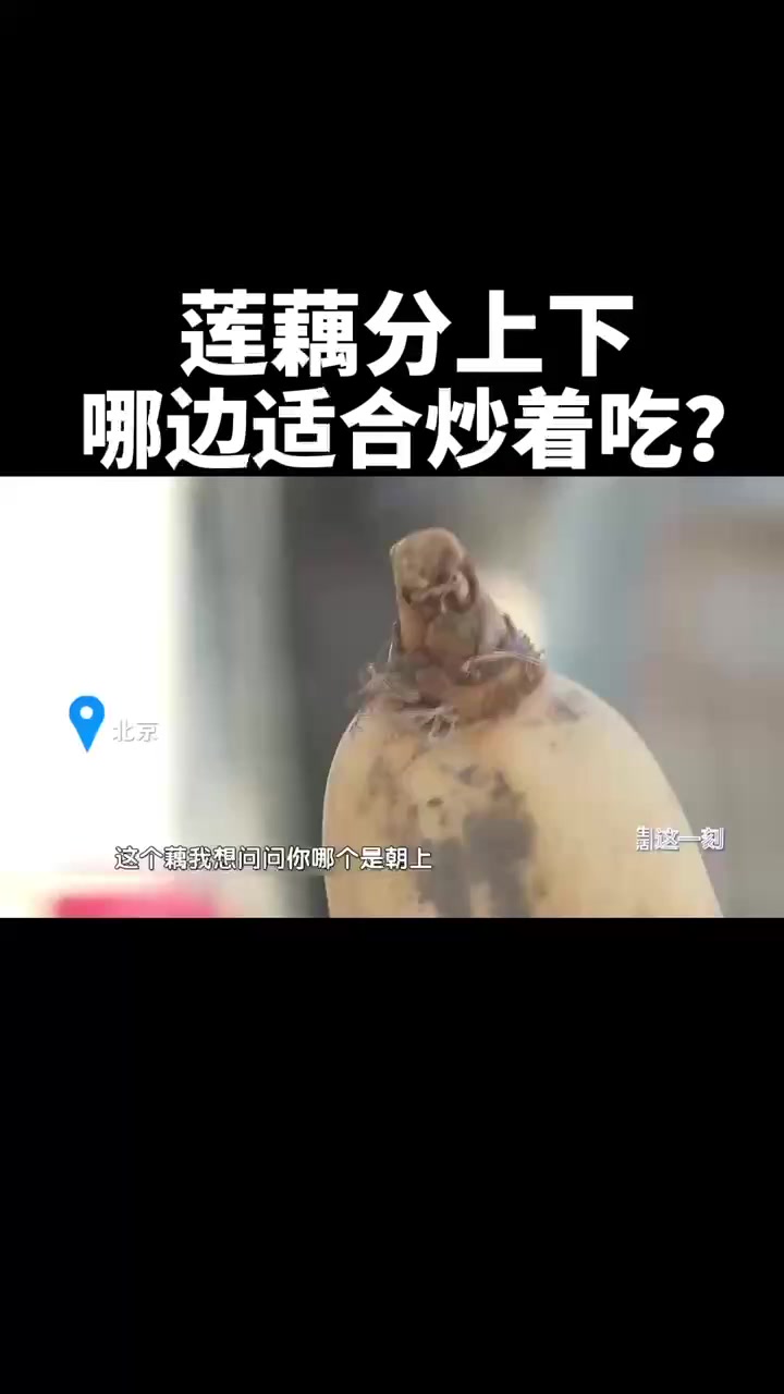 莲藕也分上下 哪边适合炒着吃?蔬菜真相大揭秘!