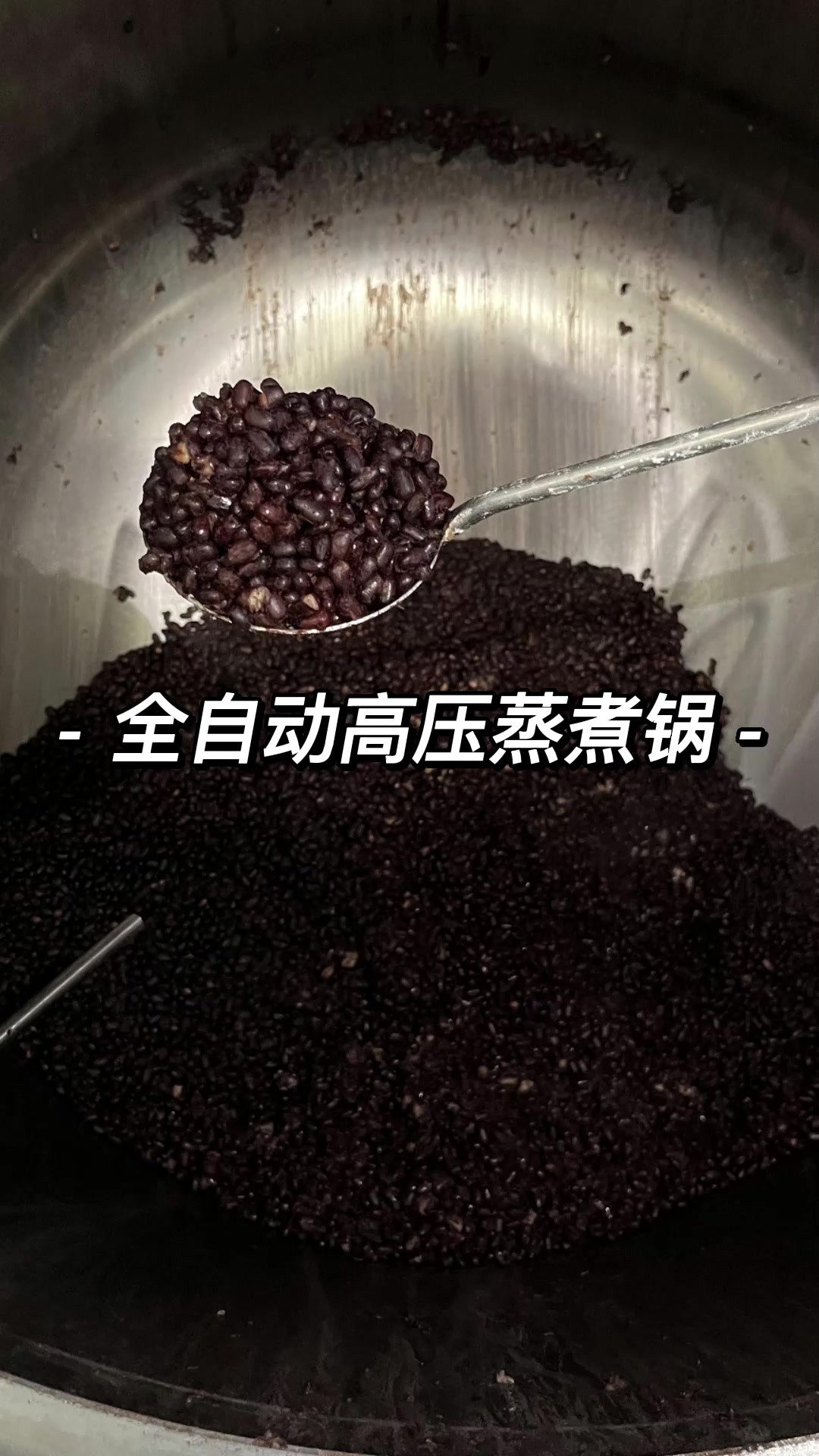 高压蒸煮锅 红小豆蒸煮锅 高温高压蒸煮锅