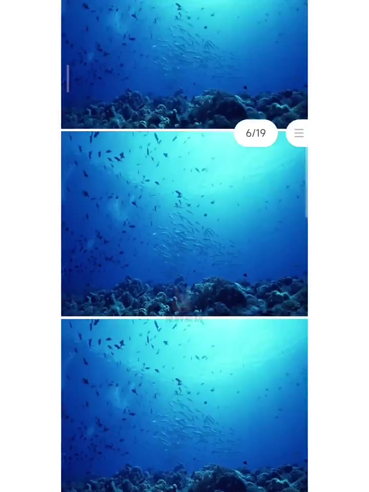目标:1. 通过观察、比较和交流,感受鱼不同的形态美和色彩美;2. 尝试用丰富的色彩以及简