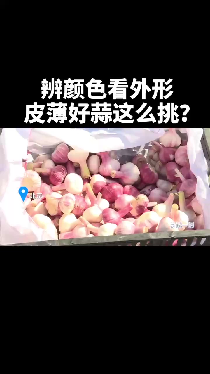 蔬菜真相大揭秘!辨颜色看外形 皮薄好蒜这么挑!