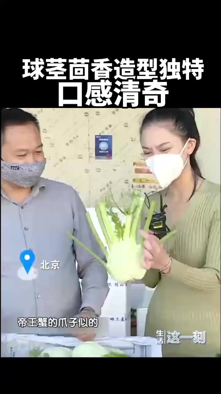 蔬菜真相大揭秘!球茎茴香造型独特 口感清奇