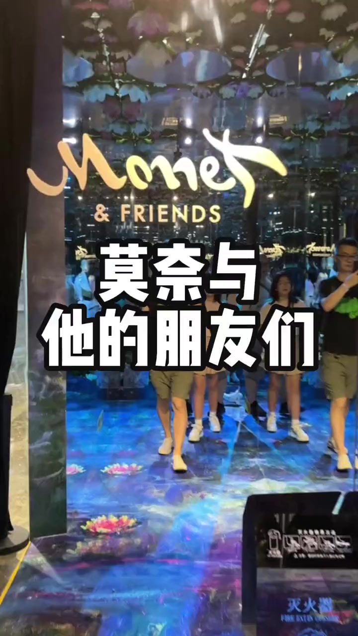 莫奈与他的朋友们 国庆朋友邀请我去看了莫奈与他的朋友们光影艺术展,静静看下来还挺有意思,用