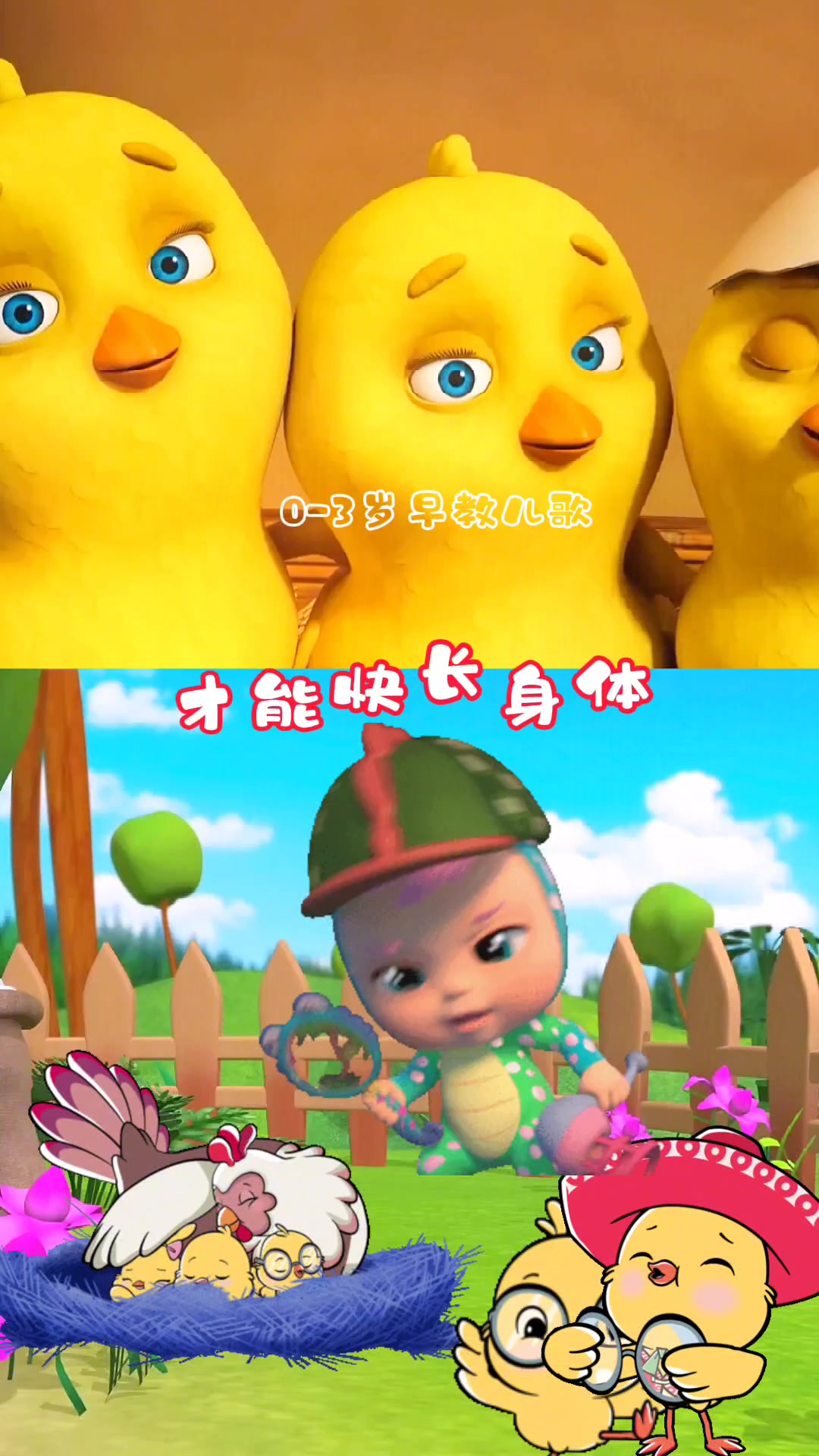 早教儿歌小鸡吃米