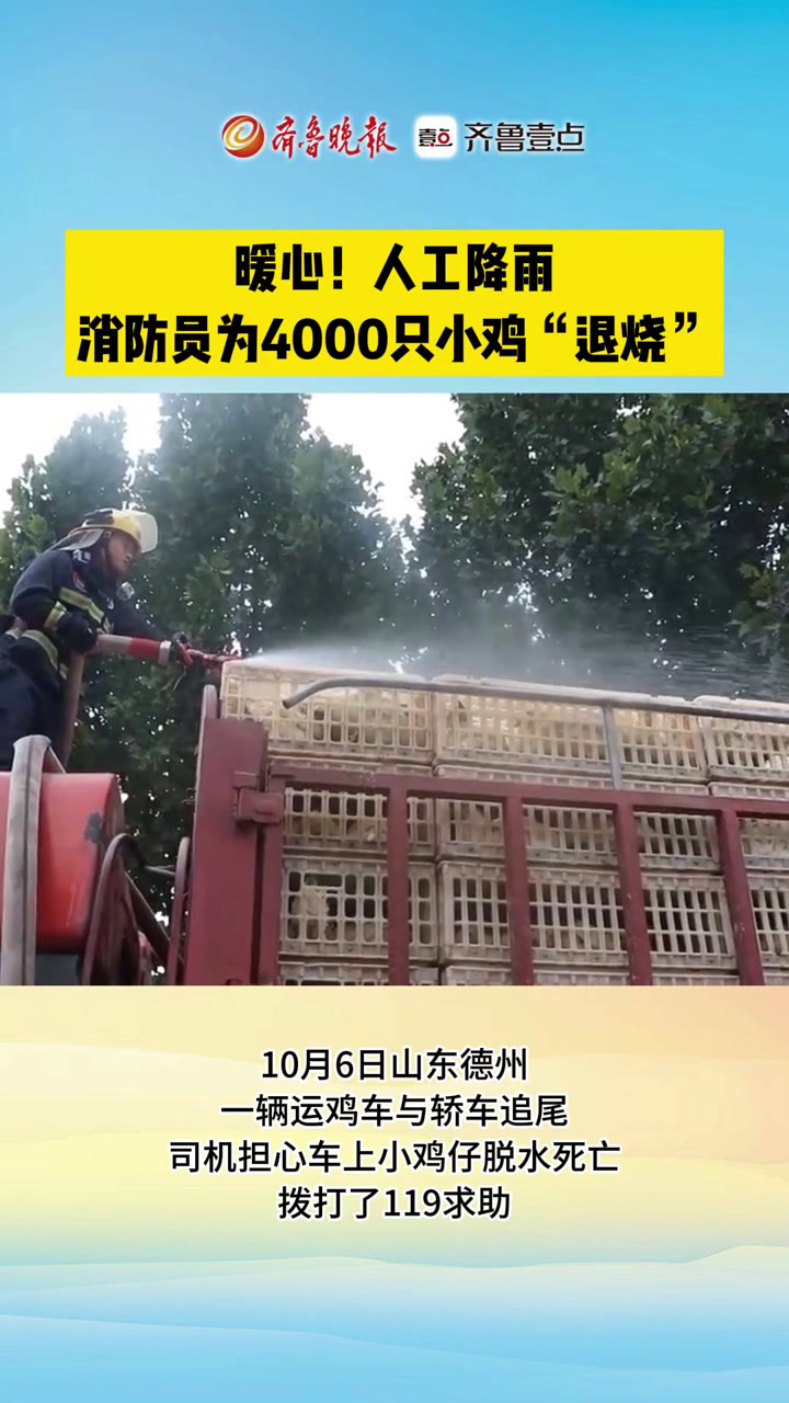 果然视频丨货车被滞留,消防员为4000鸡仔“退烧”