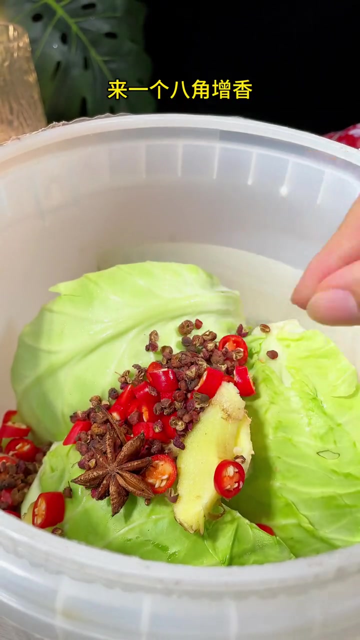 包菜腌制一下家里米饭都要多煮一点真的太下饭了 酸包菜 腌制酸菜简单做法 腌菜