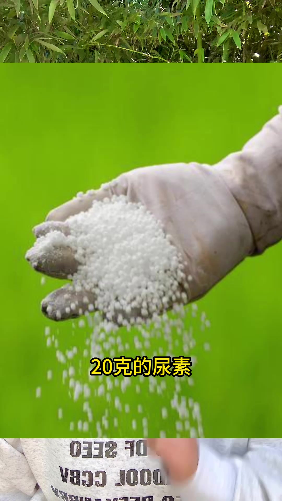 蔬菜除虫, 不用打药,不花一分钱,一招轻松解决