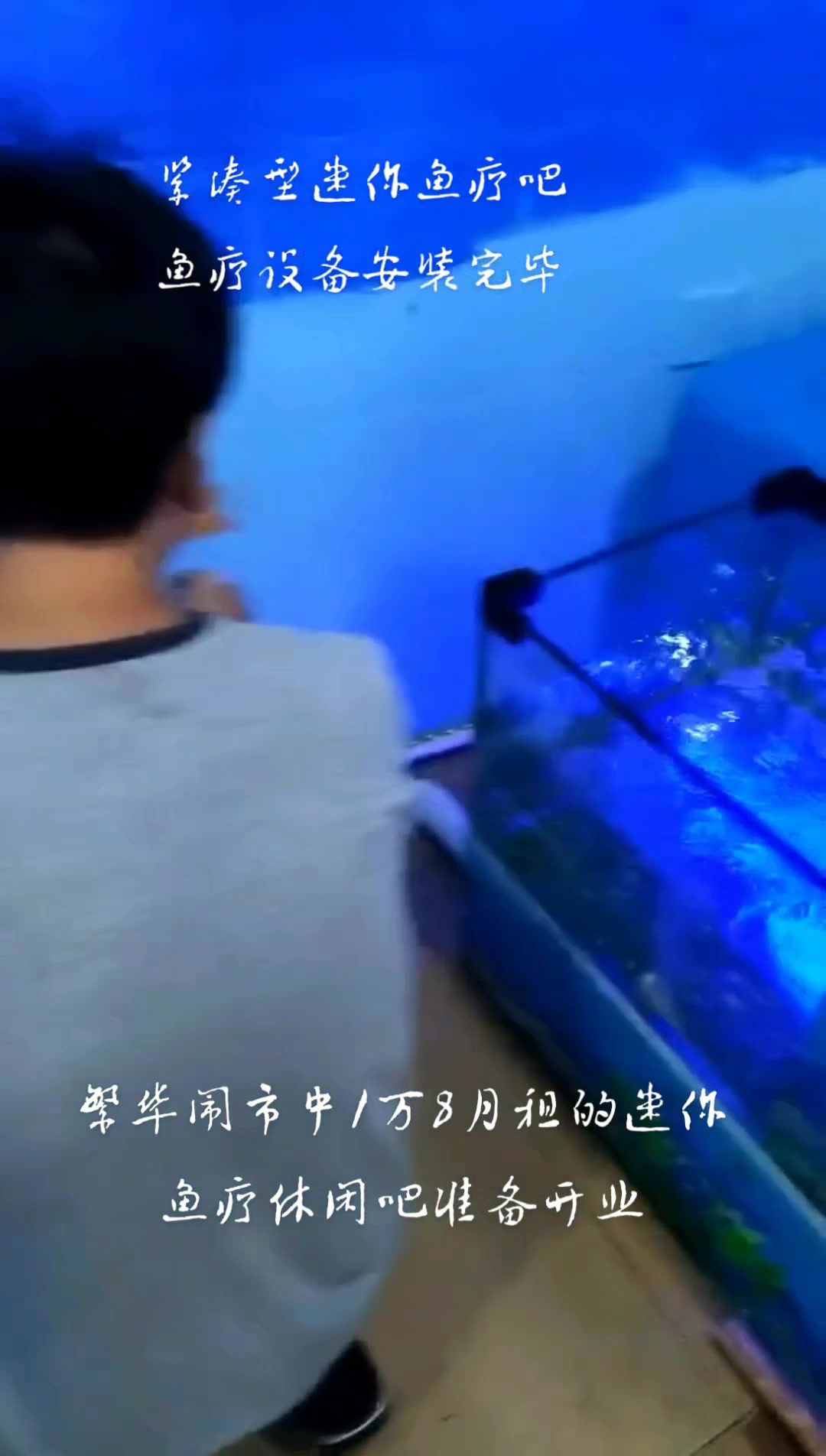 迷你型 亲亲鱼疗休闲吧