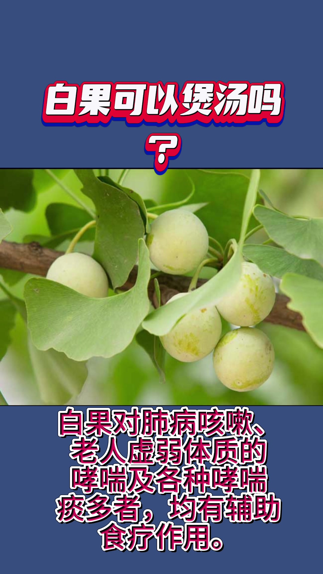 白果可以煲汤吗?