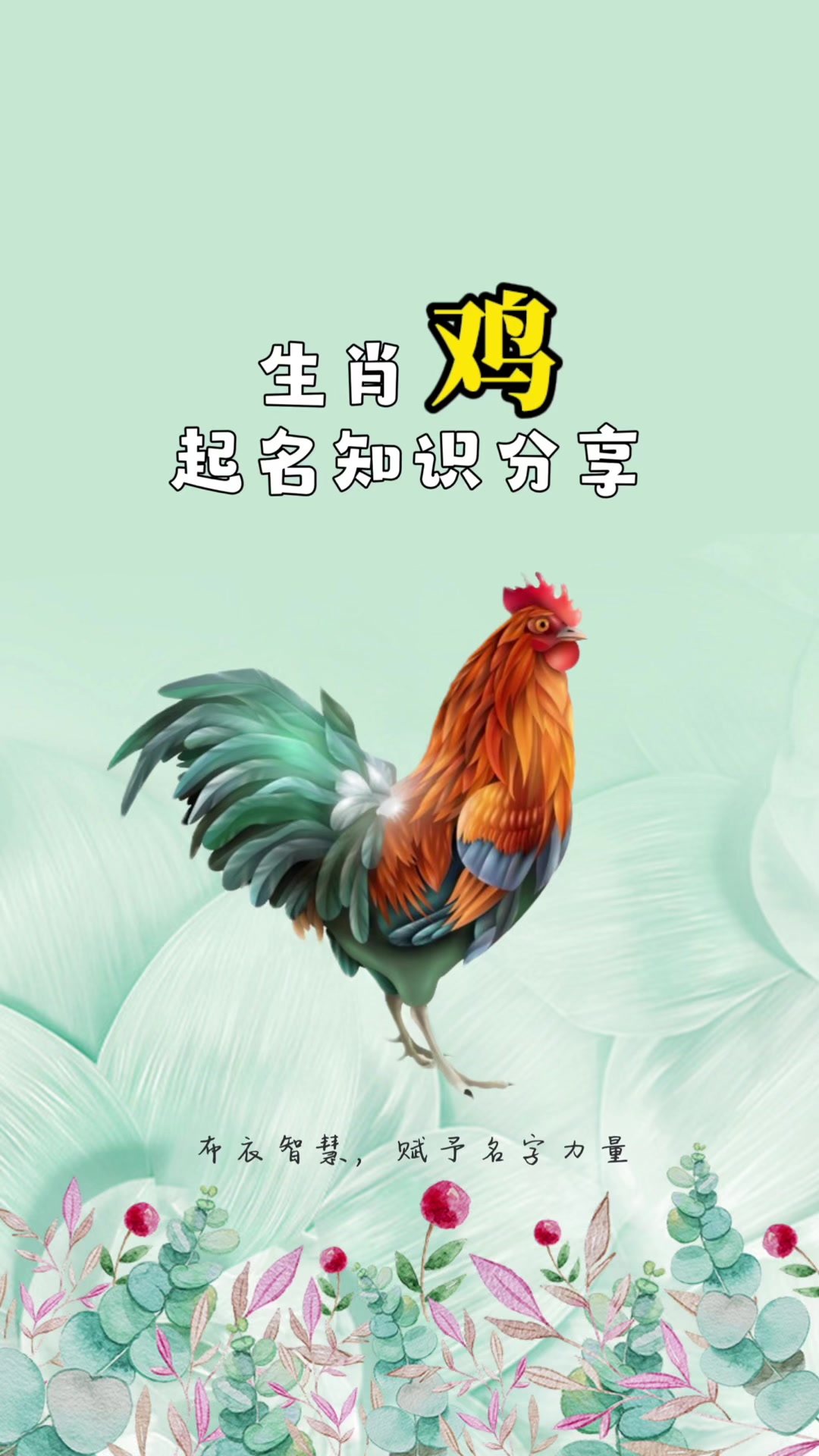 生肖鸡起名知识分享