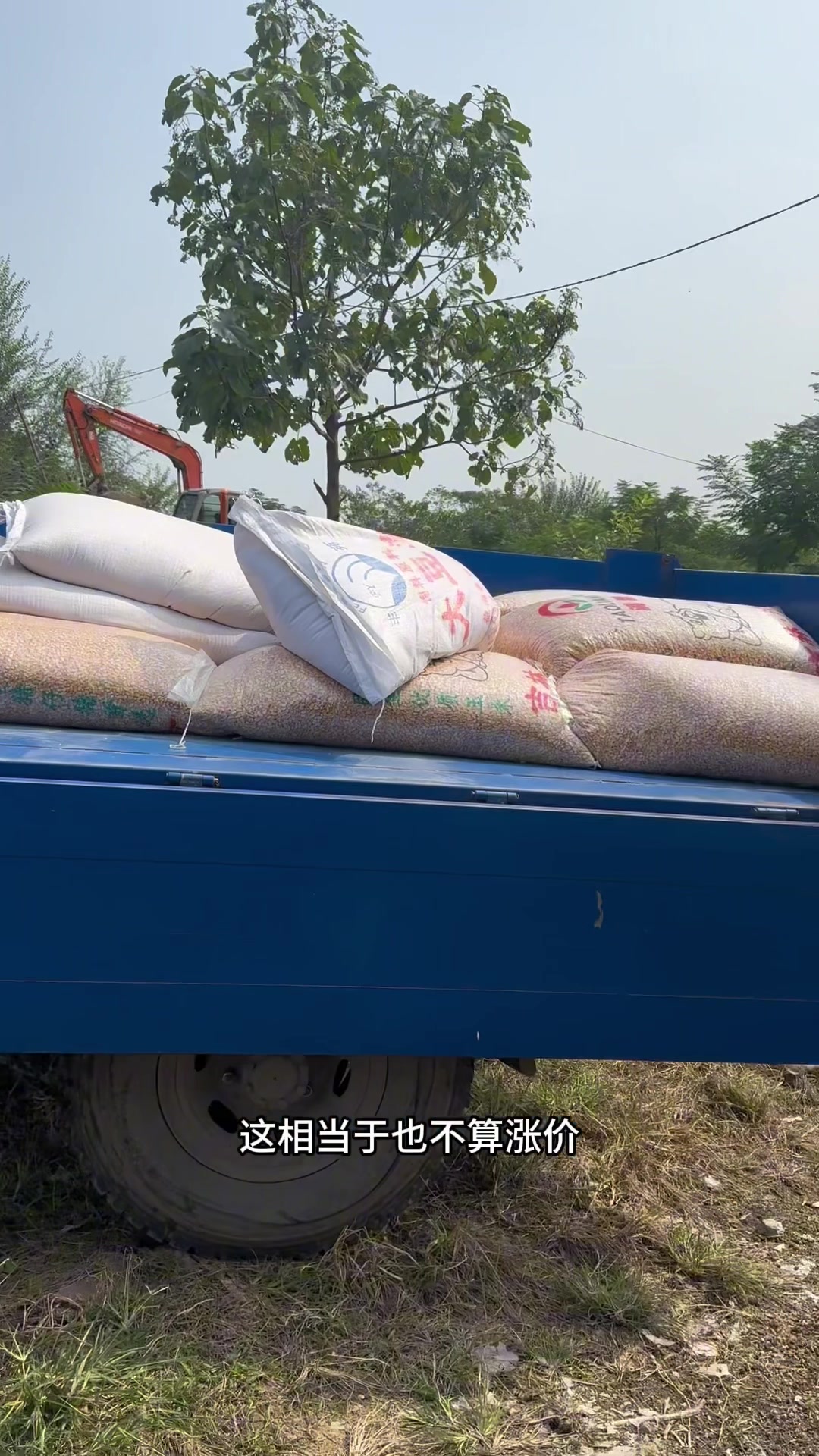 你们当地饲料涨价没