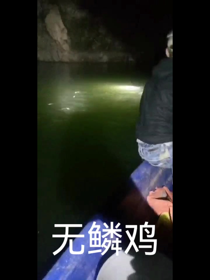 黄辣丁无鳞鱼鱼机 无鳞鱼昂刺鱼机逆变器机头