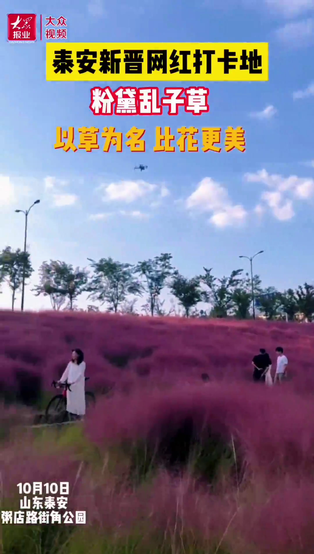 视频|你见过比花还美的草吗?看看你猜的对不对