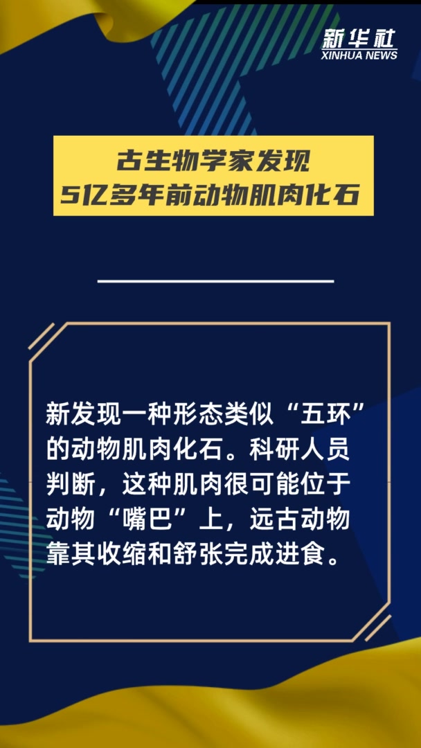 古生物学家发现5亿多年前动物肌肉化石