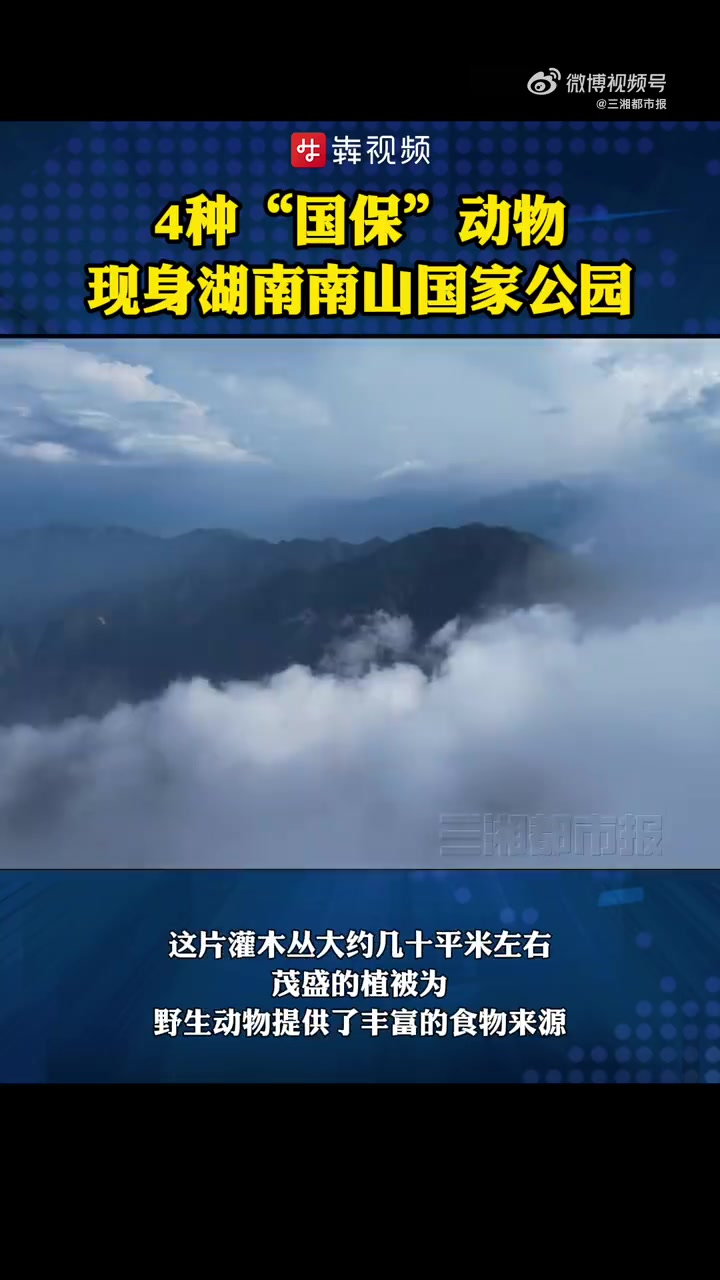 「神奇生物在哪里丨一个月内,4种国保动物接连现身湖南南山国家公园」10月10日,南山国家公