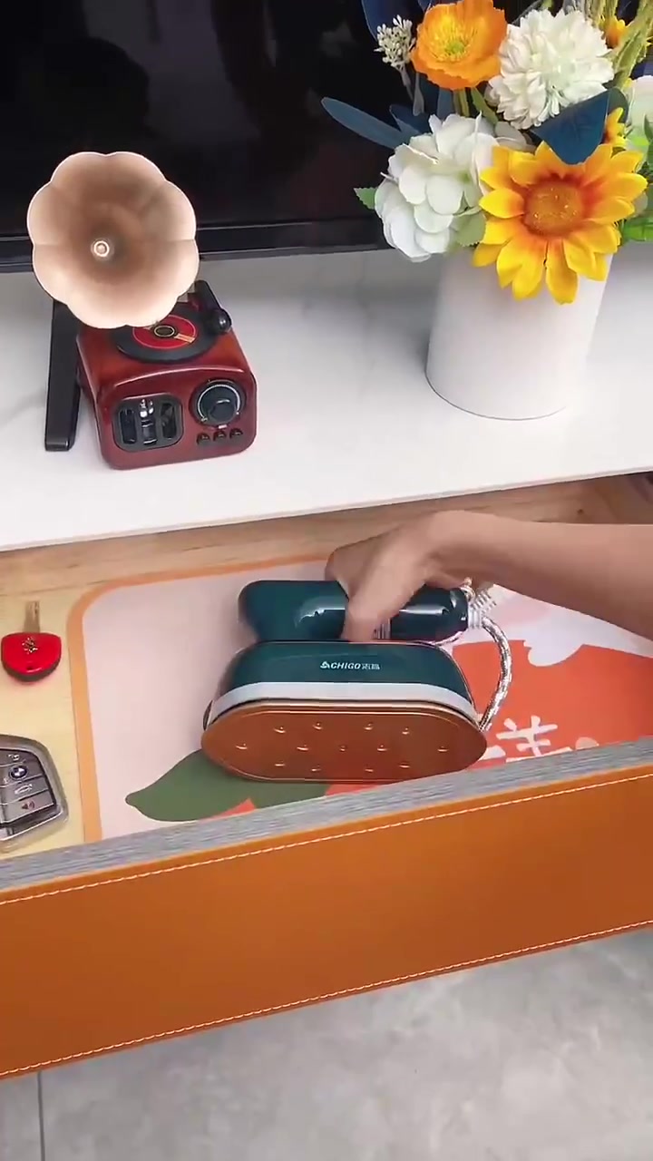 志高手持挂烫机家用蒸汽电熨斗便携式神器小型熨烫机熨烫衣服
