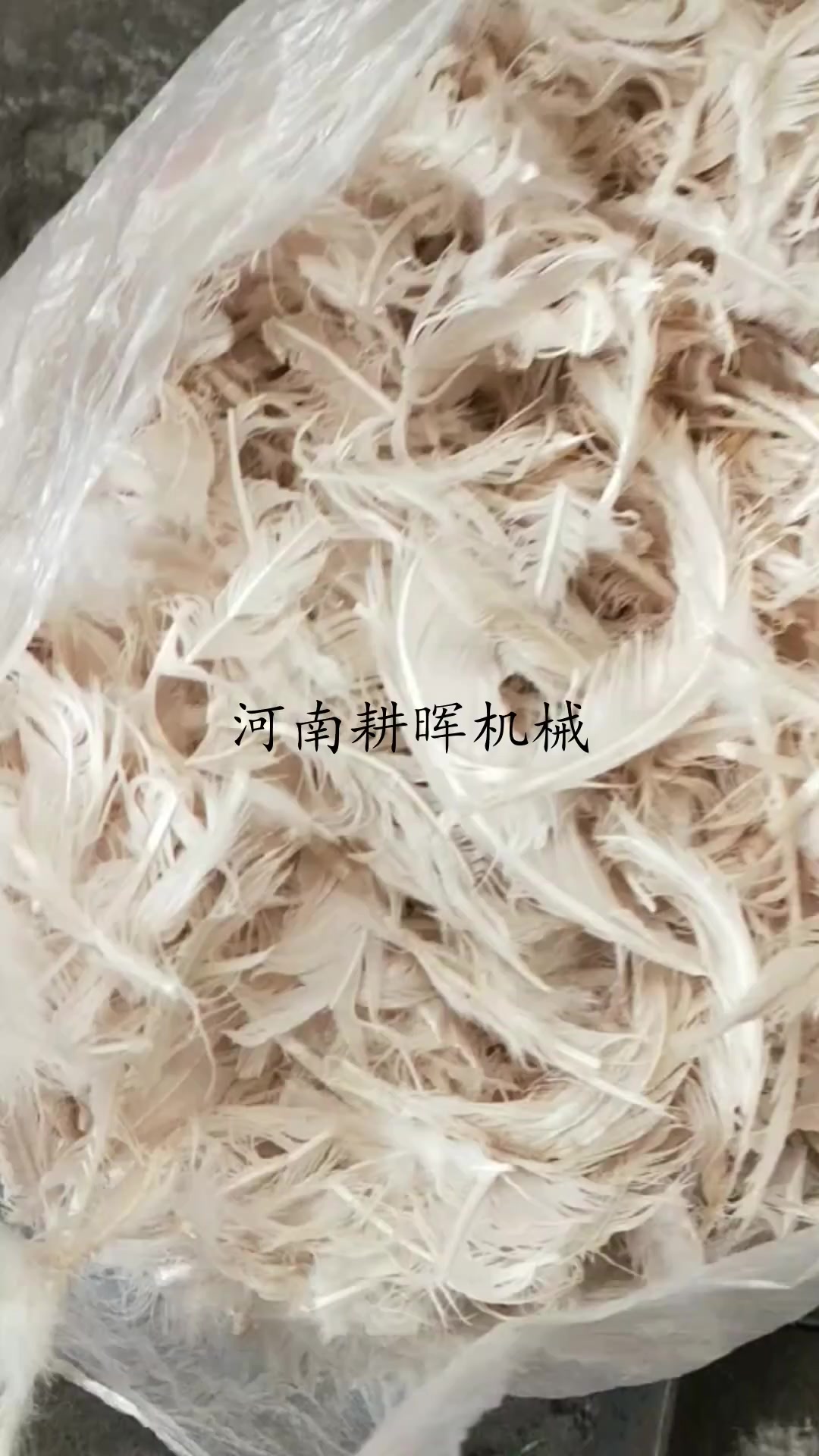 鸡毛粉碎机 鸭毛鸭绒破碎机 羊毛打散机