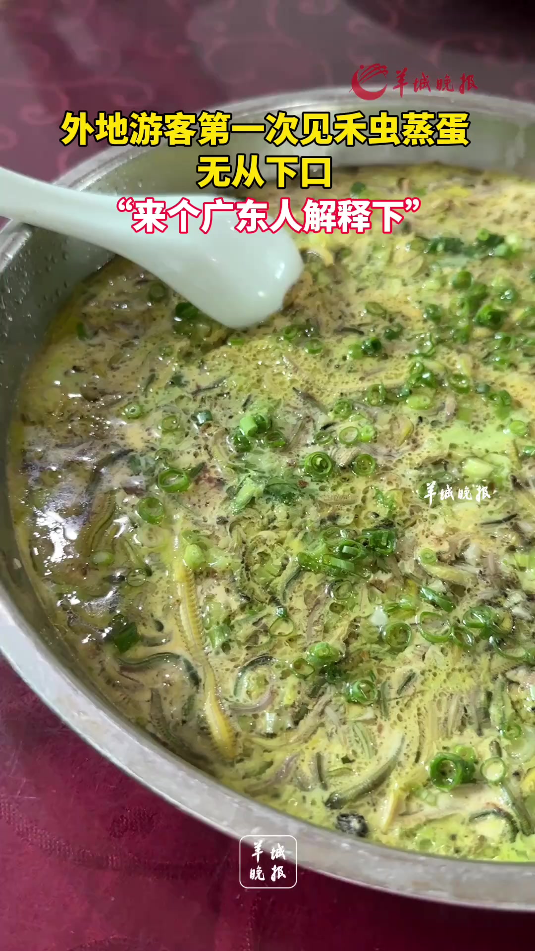 外地游客第一次见禾虫蒸蛋,无从下口,“来个广东人解释下” 地方特色美食 禾虫 广东特色美食