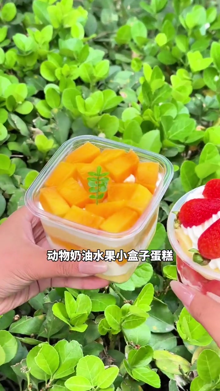 燕郊慕斯蛋糕店!动物奶油水果蛋糕只要29.9快冲啊!人气蛋糕推荐 好吃的蛋糕 甜品烘焙 慕