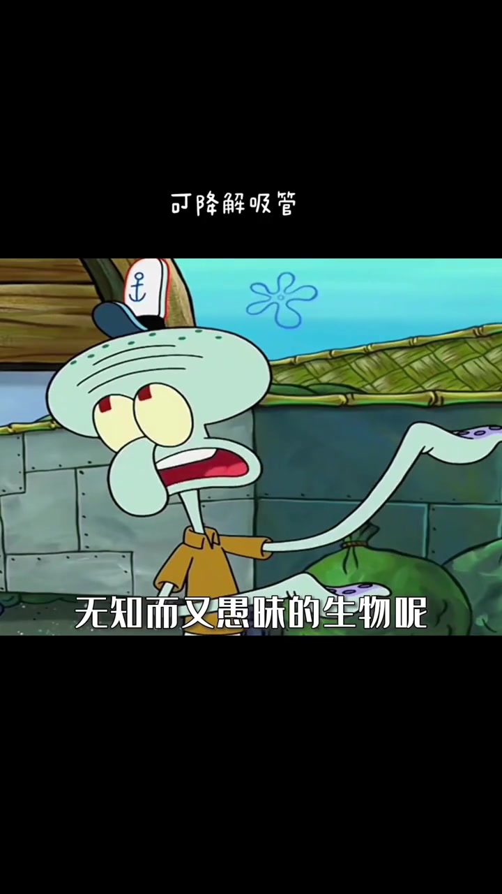 连章鱼哥都不懂的道理,我又怎么会懂呢 吸管 可降解吸管 海绵宝宝 派大星语录 奶茶
