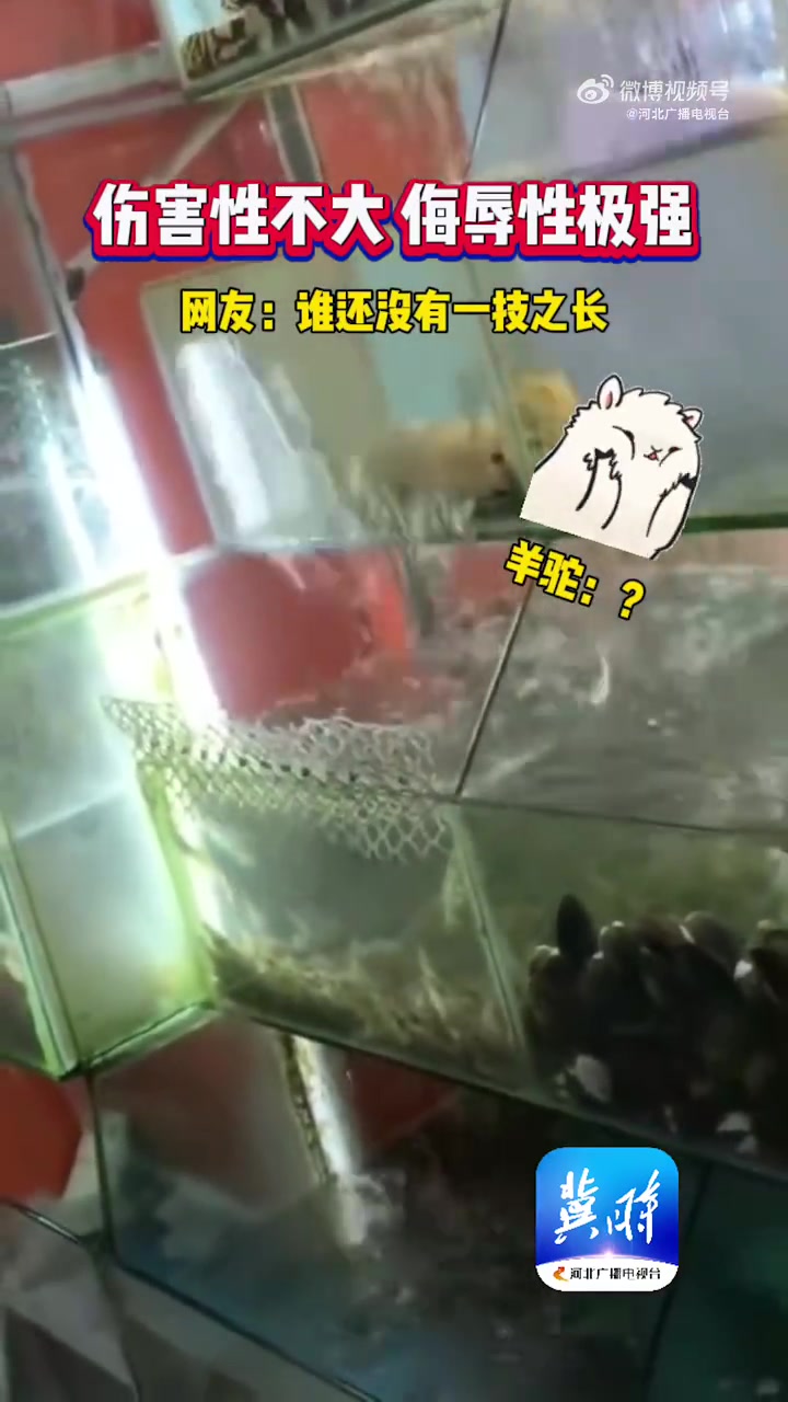 「伤害性不大侮辱性极强的魔鬼鱼」近日,某地市场里一只频频吐水的魔鬼鱼成网红被围观。网友戏称