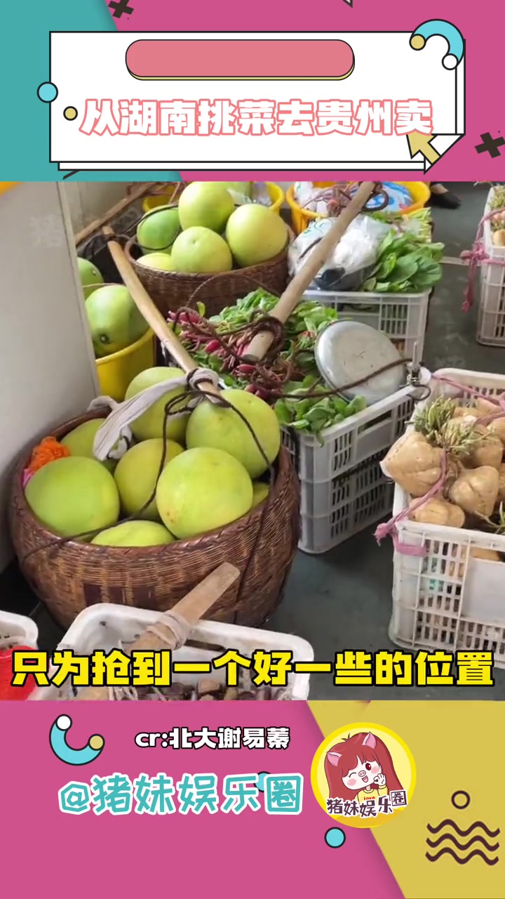 每天从湖南挑菜坐火车去贵州卖是什么体验?生活 万万没想到 努力