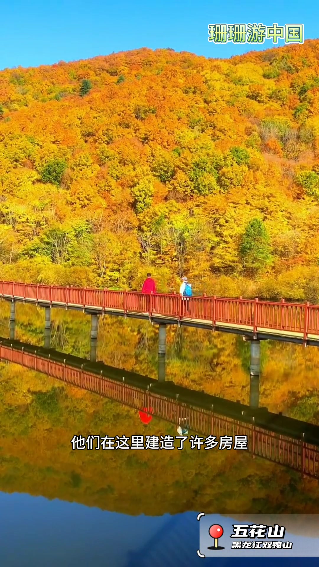 金秋赏五花山! 黑龙江-双鸭山-西沟